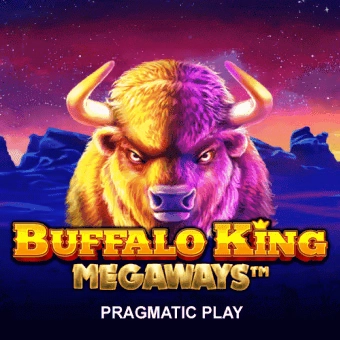 Mega Bingo game cover